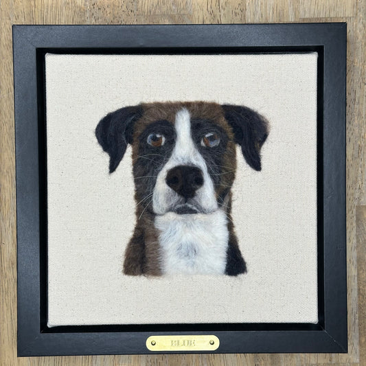 Custom Wool Pet Portrait